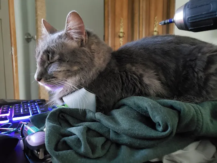 Purple Cat Vet - Eau Claire, WI 12
