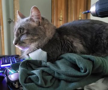 Purple Cat Vet - Eau Claire, WI