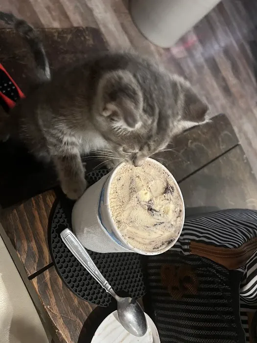 Purple Cat Vet - Eau Claire, WI 12