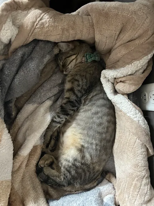 Purple Cat Vet - Eau Claire, WI 12