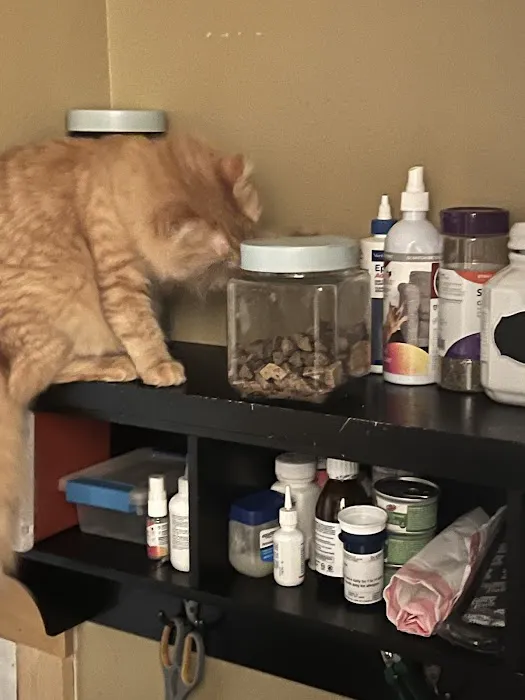 Purple Cat Vet - Eau Claire, WI 12