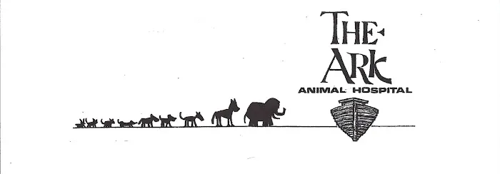 Ark Animal Hospital 12
