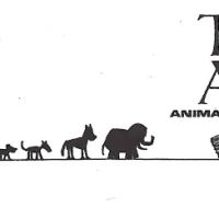 Ark Animal Hospital ico
