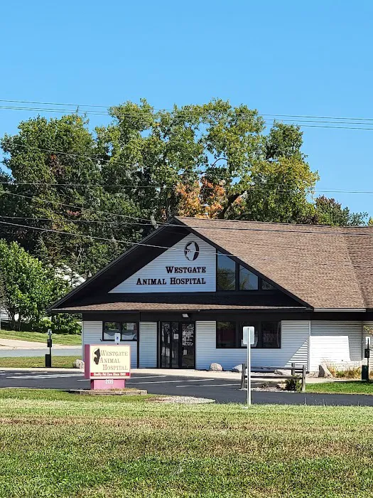 Allied Veterinary Emergency & Referral 12