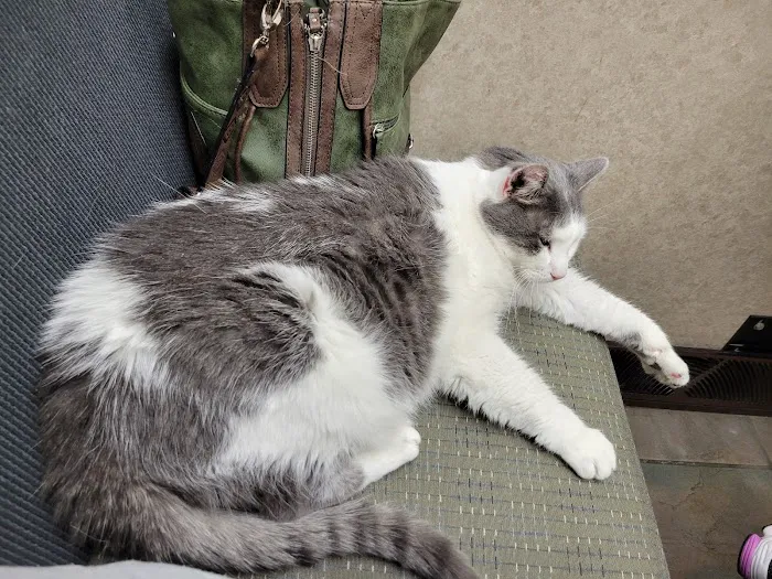 Oakwood Hills Animal Hospital 12