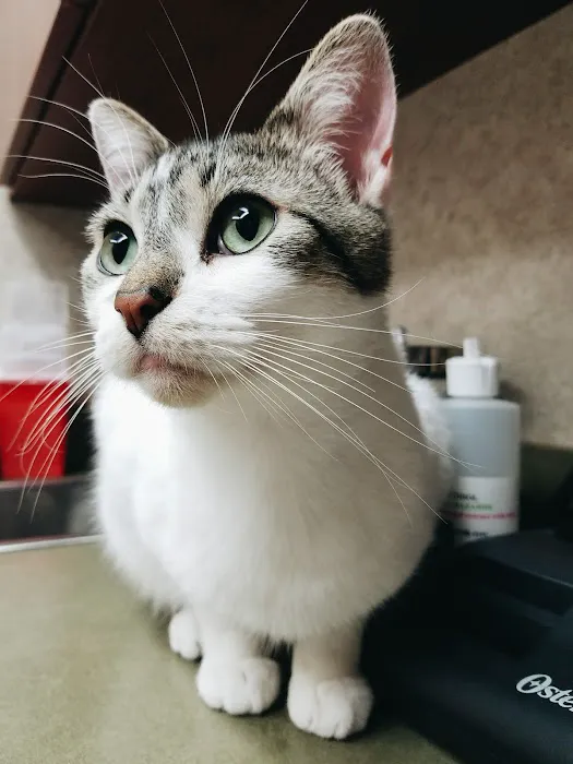 Oakwood Hills Animal Hospital 12