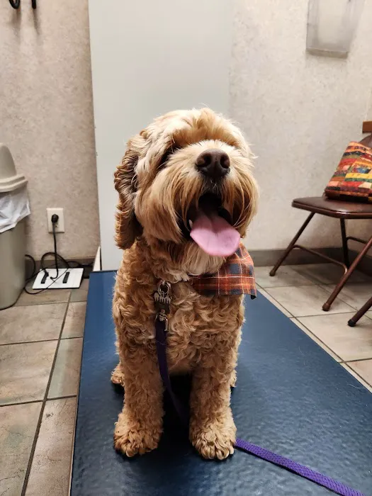 Oakwood Hills Animal Hospital 12