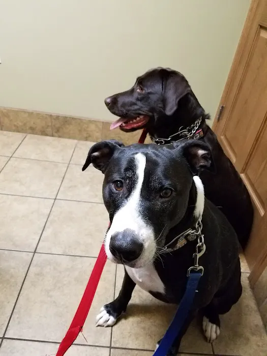 Eau Claire Animal Hospital 12