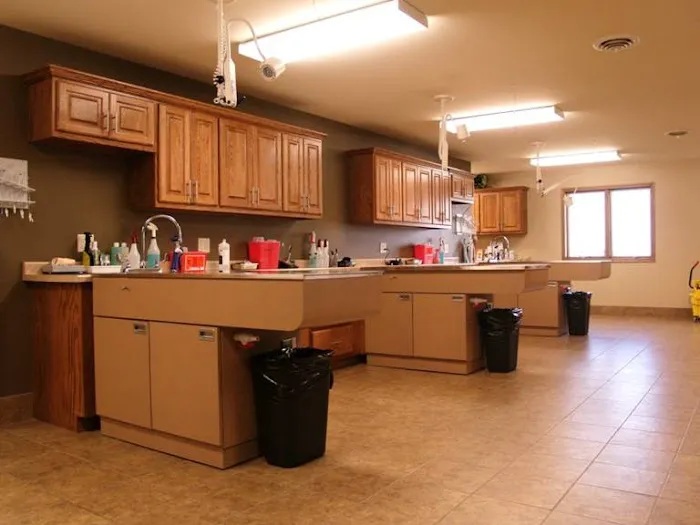 Eau Claire Animal Hospital 12