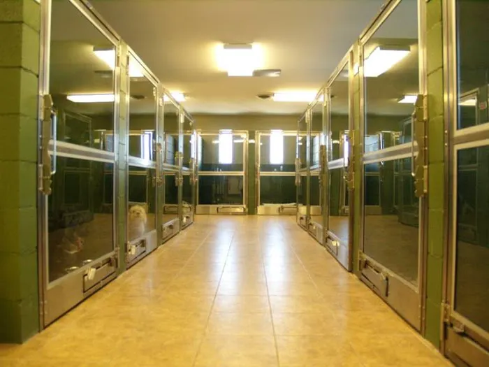 Eau Claire Animal Hospital 12