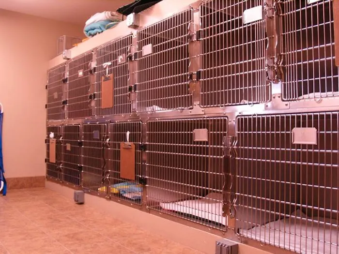 Eau Claire Animal Hospital 12