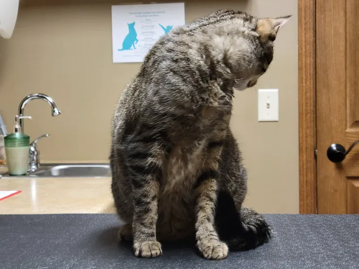 Eau Claire Animal Hospital 12