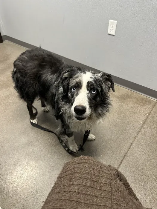 Healthy Pet Altoona 12