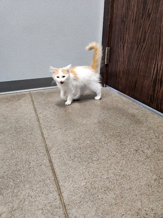 Healthy Pet Altoona 12