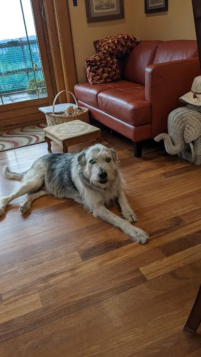 Healthy Pet Altoona 12