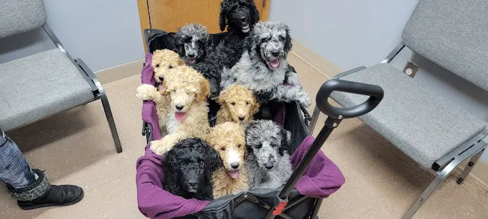 Healthy Pet Altoona 12