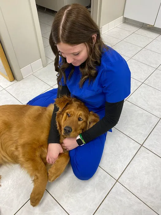 K-M Regional Veterinary Hospital 12