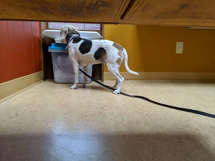 Heritage Pet Hospital 12