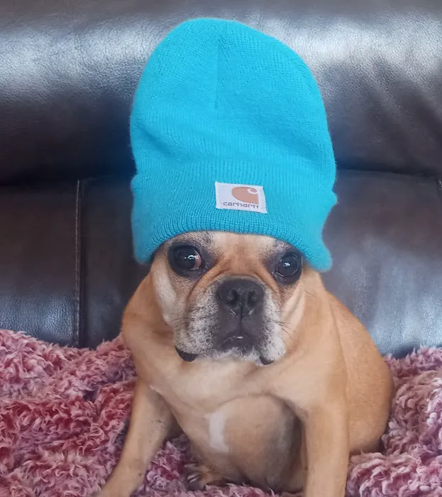 Heritage Pet Hospital 12
