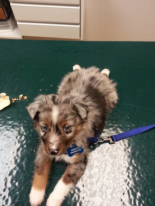 Heritage Pet Hospital 12