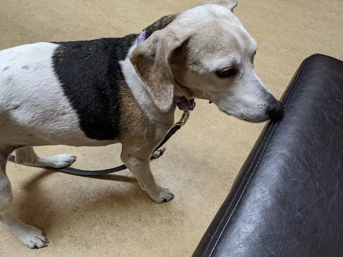 Heritage Pet Hospital 12