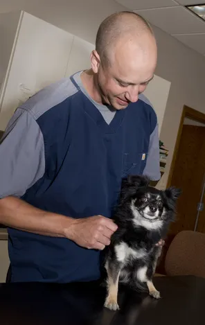 St. Charles Veterinary Clinic 1