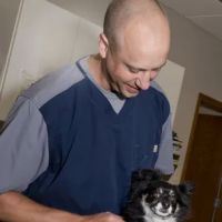 St. Charles Veterinary Clinic ico