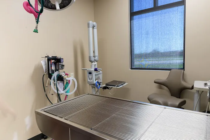 Quarry Hill Park Animal Hospital 8