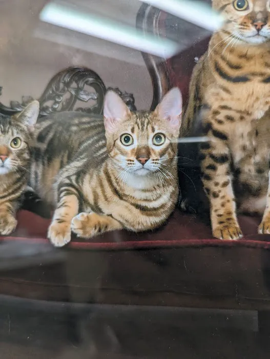 Quarry Hill Park Animal Hospital 7