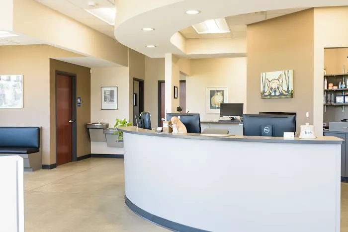 Quarry Hill Park Animal Hospital 9