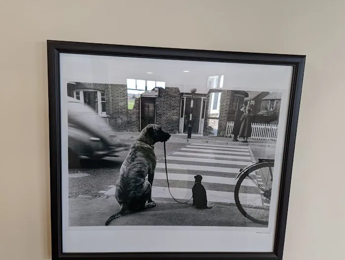 Quarry Hill Park Animal Hospital 6