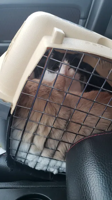 Med City Animal Hospital 12