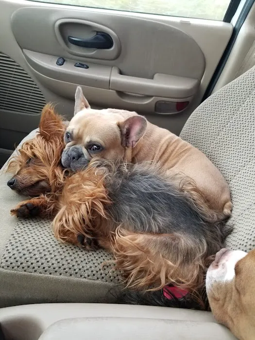 Homeward Bound Animal Clinic 12