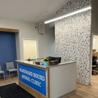 Homeward Bound Animal Clinic ico