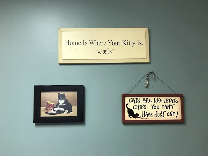 Animal Health Care Veterinary Hospital 12