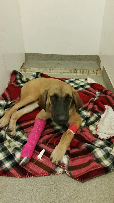 Dodge Veterinary Clinic 12