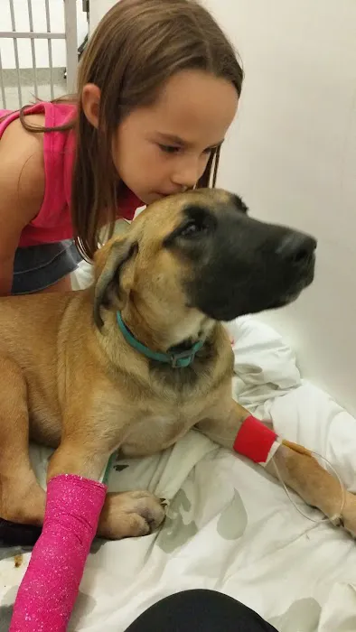Dodge Veterinary Clinic 12