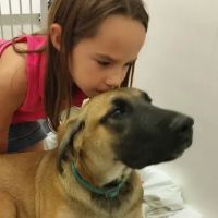 Dodge Veterinary Clinic ico