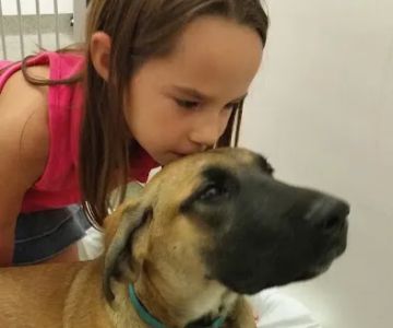 Dodge Veterinary Clinic