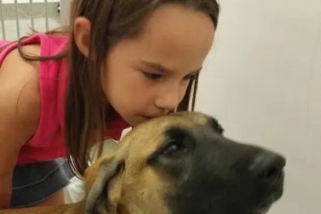 Dodge Veterinary Clinic