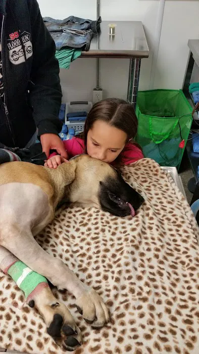 Dodge Veterinary Clinic 12