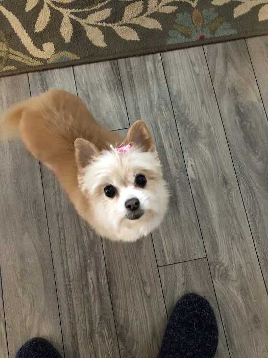 River Hills Pet Care Hospital 7
