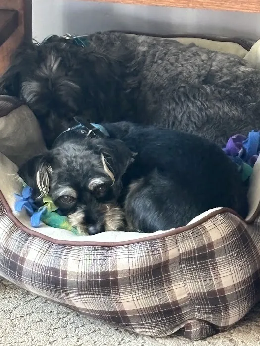 River Hills Pet Care Hospital 3