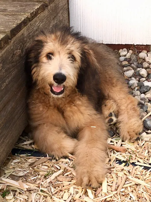 River Hills Pet Care Hospital 9
