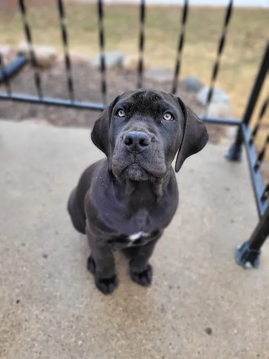 Minnesota Valley Pet Hospital 4