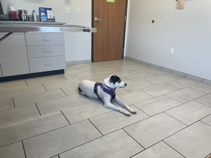 Minnesota Valley Pet Hospital 1