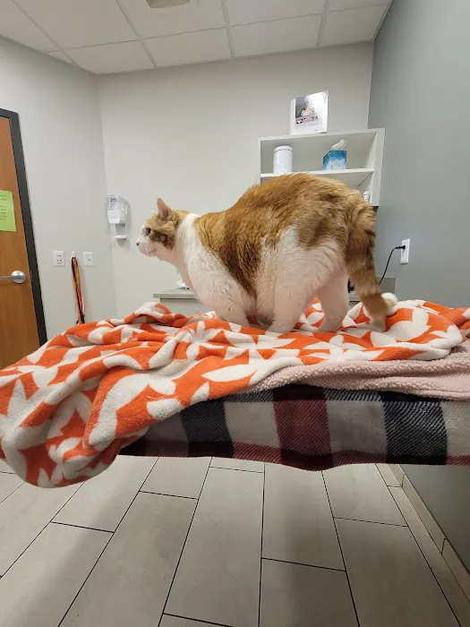 Minnesota Valley Pet Hospital 6