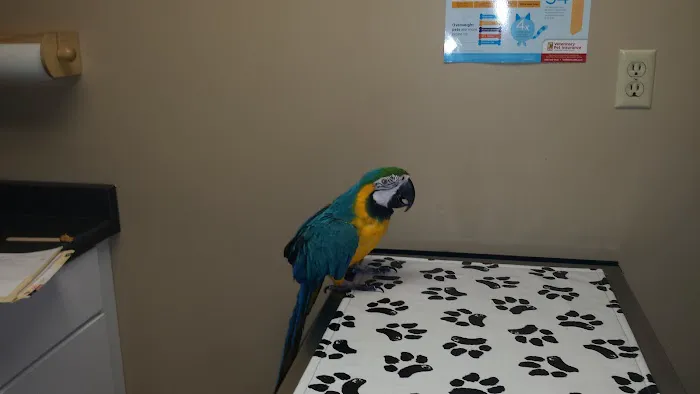 Minnesota Valley Pet Hospital 7