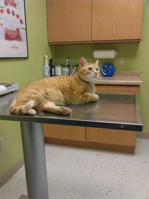 North Mankato Animal Hospital 5