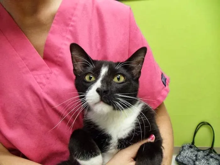 North Mankato Animal Hospital 2